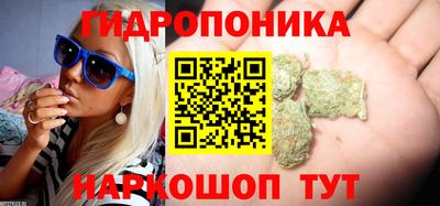 jwh Кингисепп