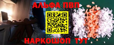 jwh Кингисепп