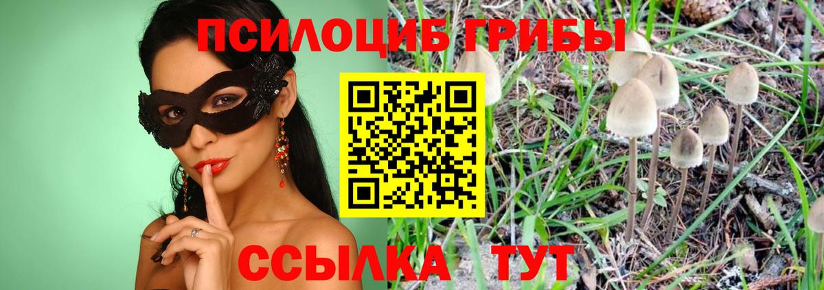 Галлюциногенные грибы Cubensis Кириши