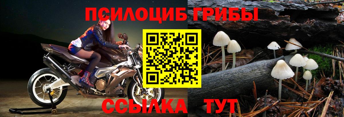 ТГК Кириши